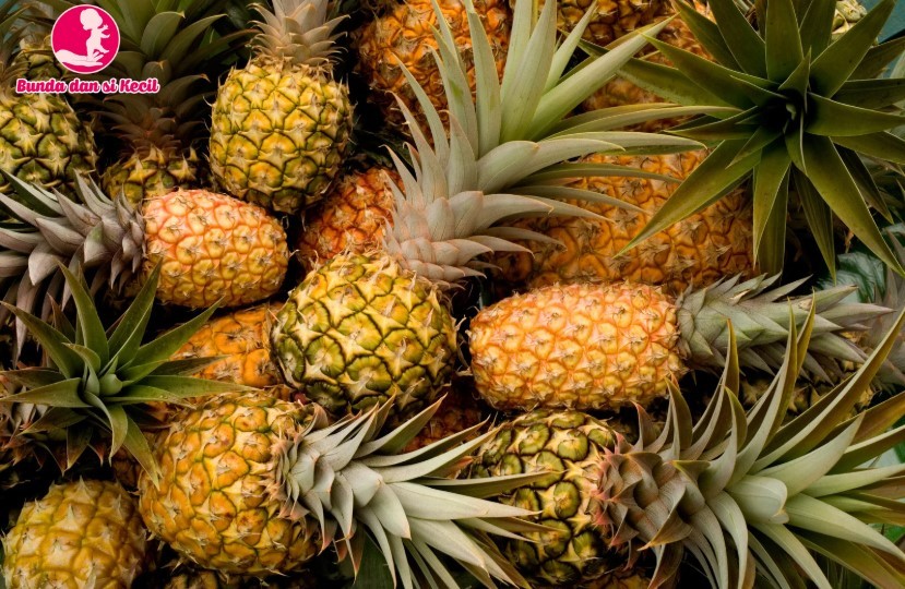 Nanas: Buah Tropis Kaya Nutrisi untuk Turunkan Kolesterol dan Jaga Jantung Sehat Segar, Manis, dan Penuh Manfaat
